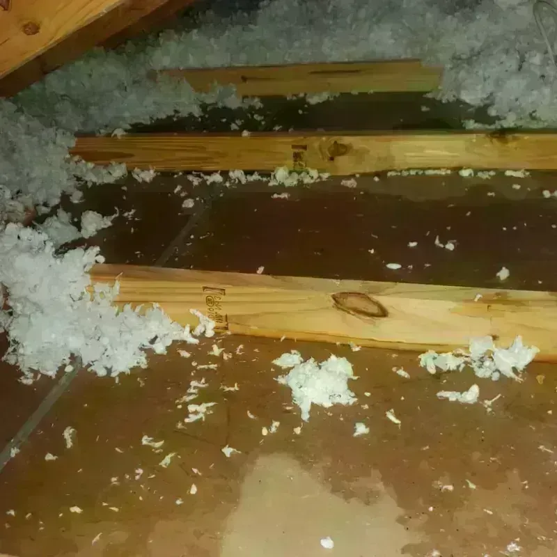 Attic Water Damage in Fillmore, UT